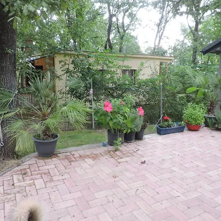 Szepezd Oak Villa